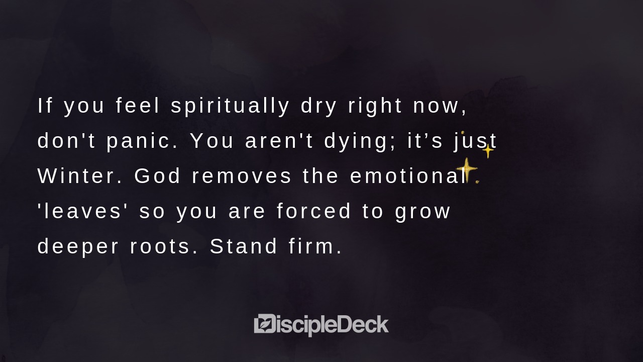 Sharable DiscipleDeck e-tract for The Winter Tree